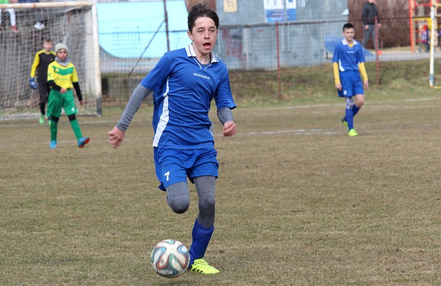 日耳曼的另 日耳曼的另