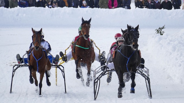 马奎尔与球 马奎尔与球