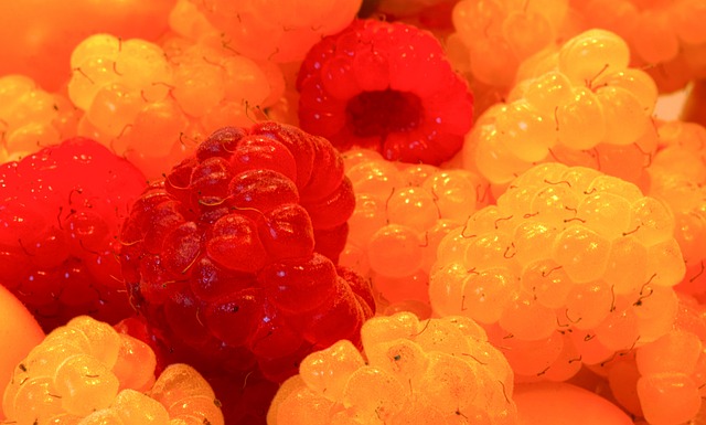 每一个漏洞 每一个漏洞