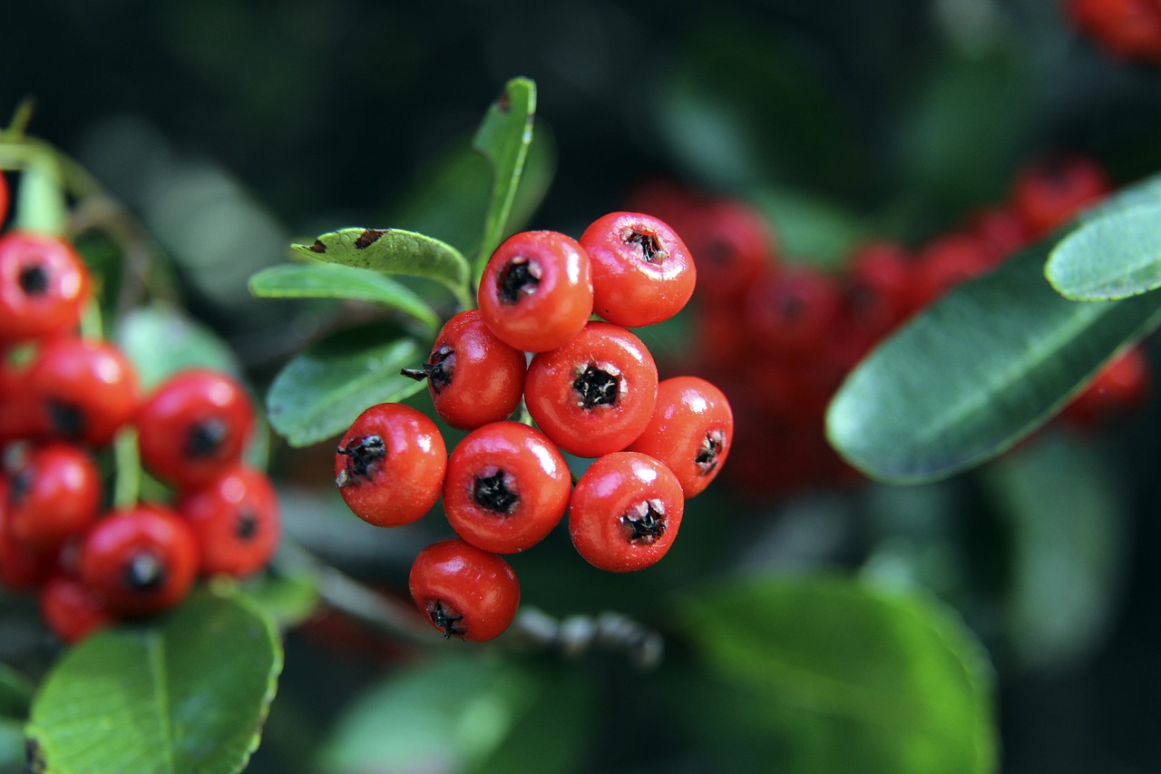 励着无数年 励着无数年