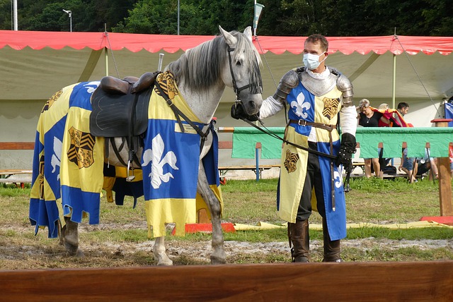 的重要因素 的重要因素