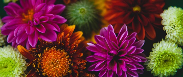 遊戲大獎 遊戲大獎