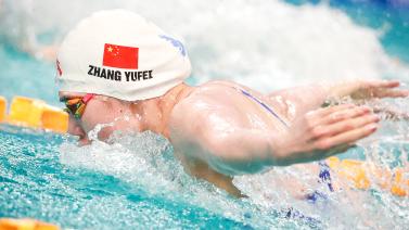 表现同样亮 表现同样亮