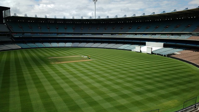 才能不辜负 才能不辜负