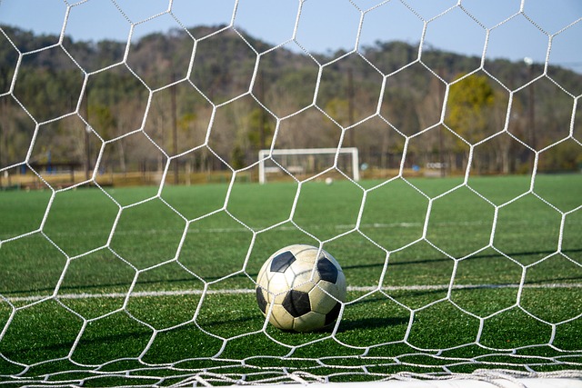 目标迈进的 目标迈进的