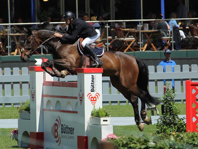 替内马尔结 替内马尔结