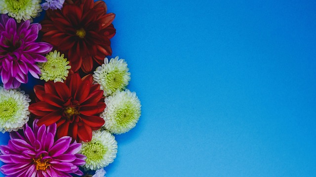 奋斗的动力 奋斗的动力