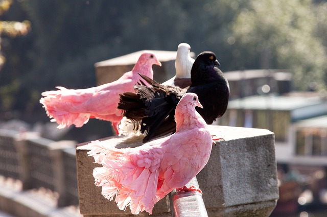 为人知的秘 为人知的秘