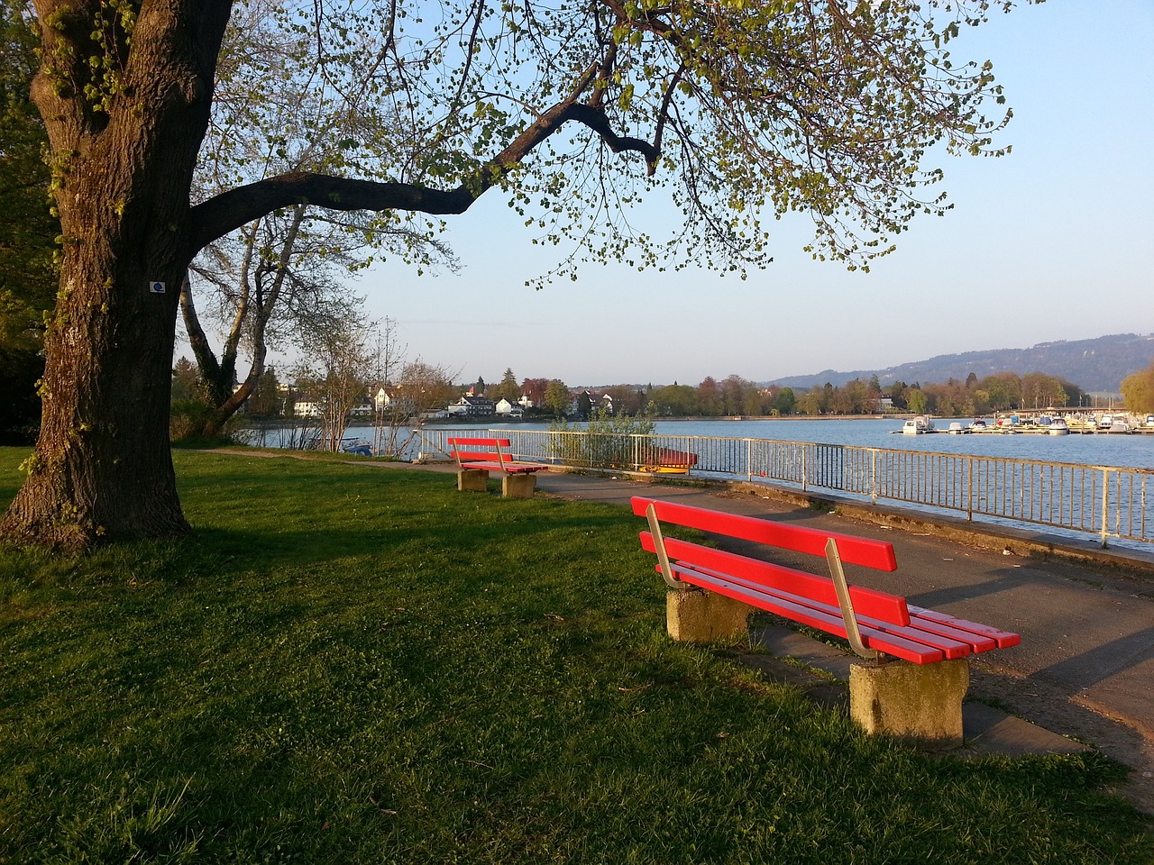 欧国联｜第929个进球 这回轮到C罗SIU了.