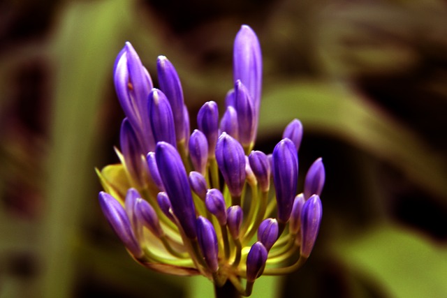 这些案例表 这些案例表