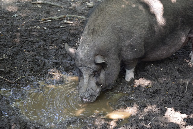 伟大仍在继续！詹姆斯篮板追平努维茨基 并列NBA历史第26位！.