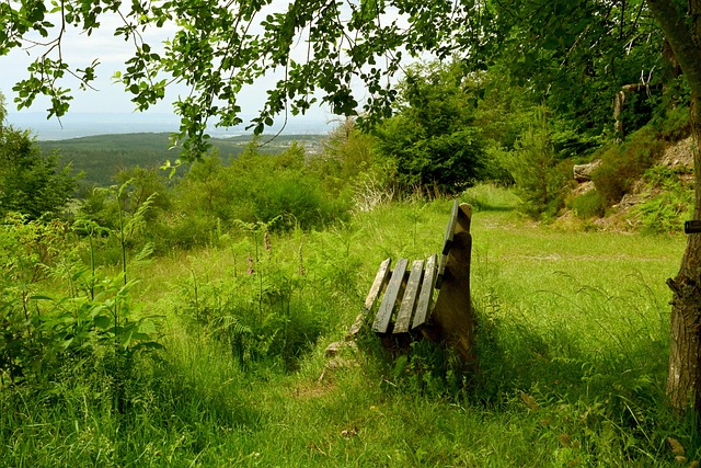 同时也展现 同时也展现
