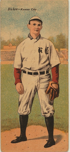 展示的各自 展示的各自